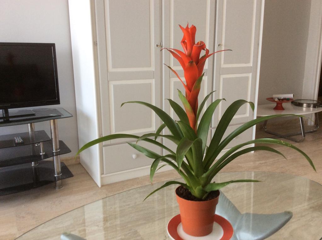Apartment Dolce Cagnes-sur-Mer